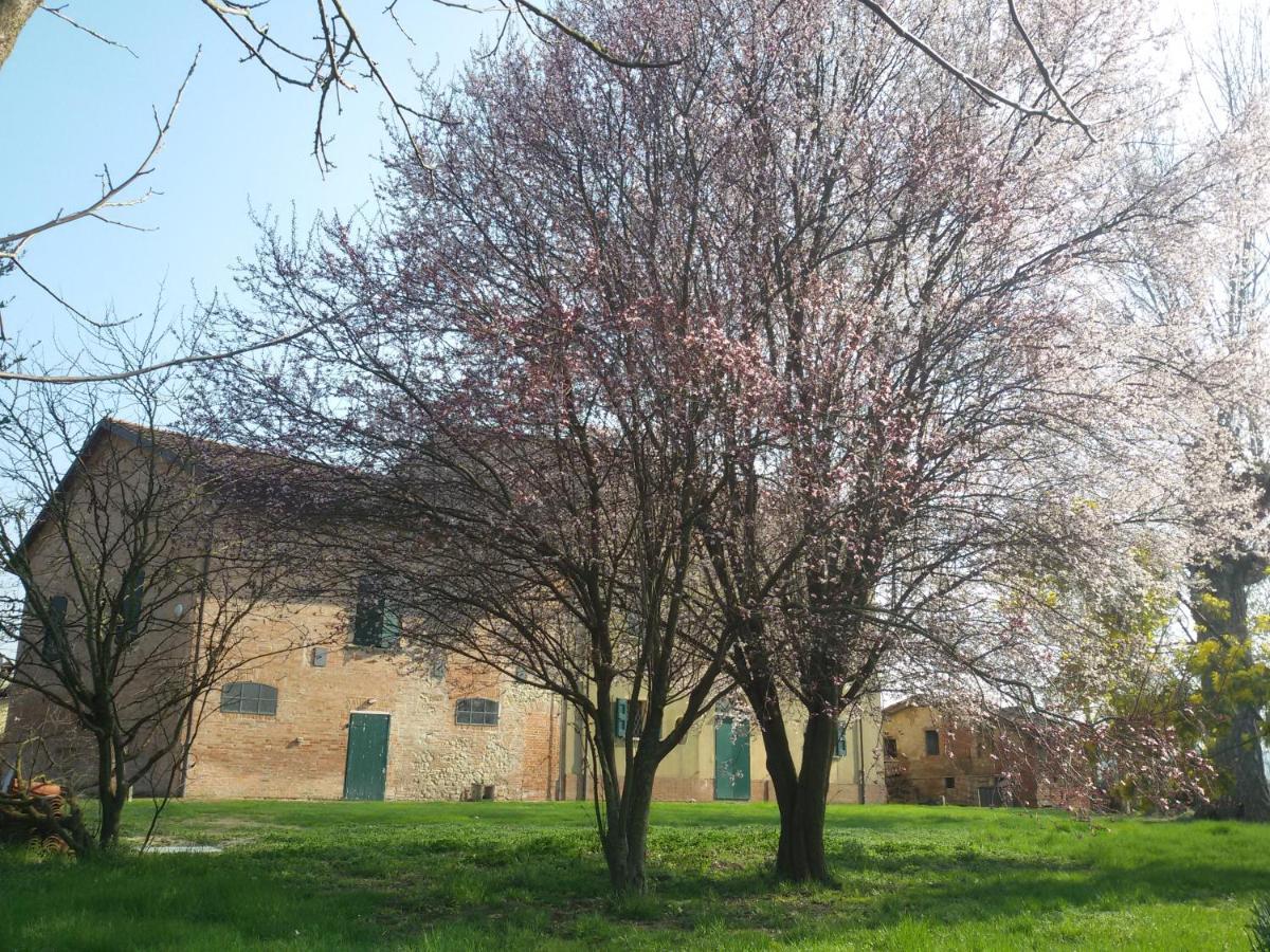 Il Boschetto Di Morgana Bed & Breakfast Castel San Pietro Terme Exterior photo