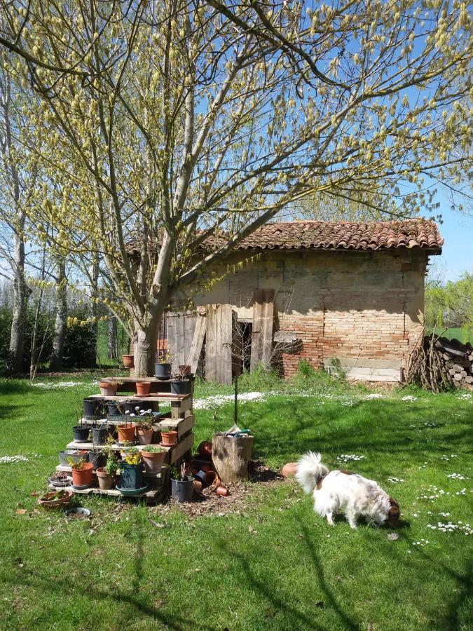 Il Boschetto Di Morgana Bed & Breakfast Castel San Pietro Terme Exterior photo