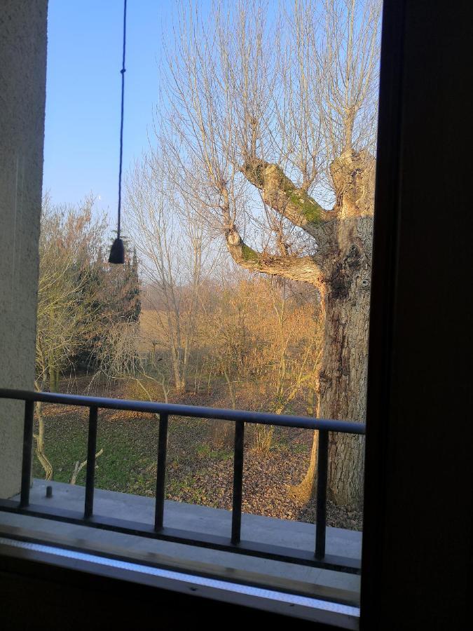 Il Boschetto Di Morgana Bed & Breakfast Castel San Pietro Terme Exterior photo